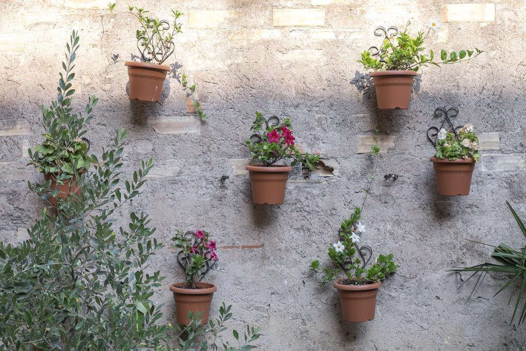 Colosseum Garden Rom Exterior foto
